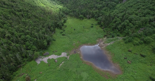 Gros Morne